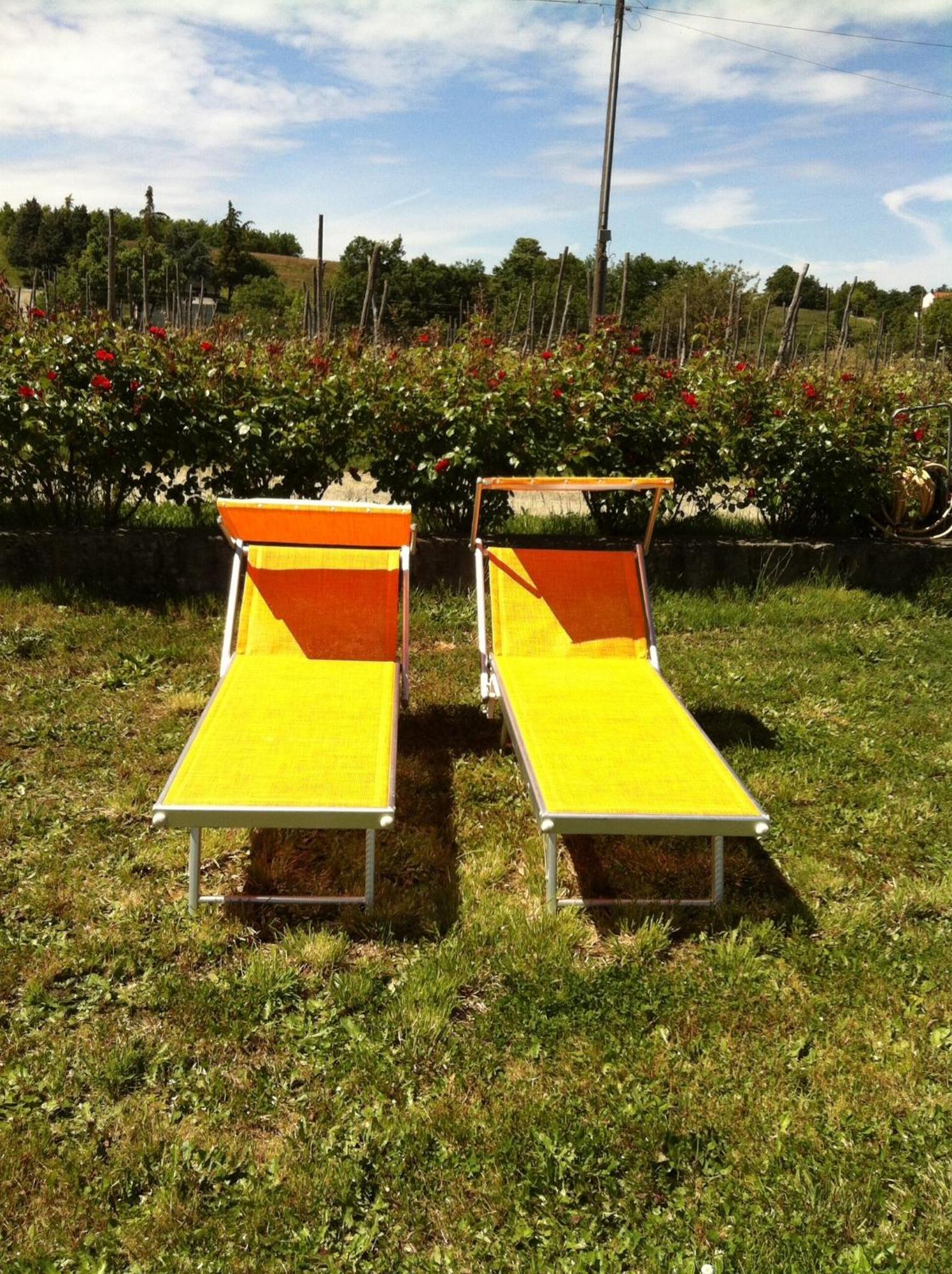 Cascina La Maddalena Bed & Wine Villa Rocca Grimalda Eksteriør billede
