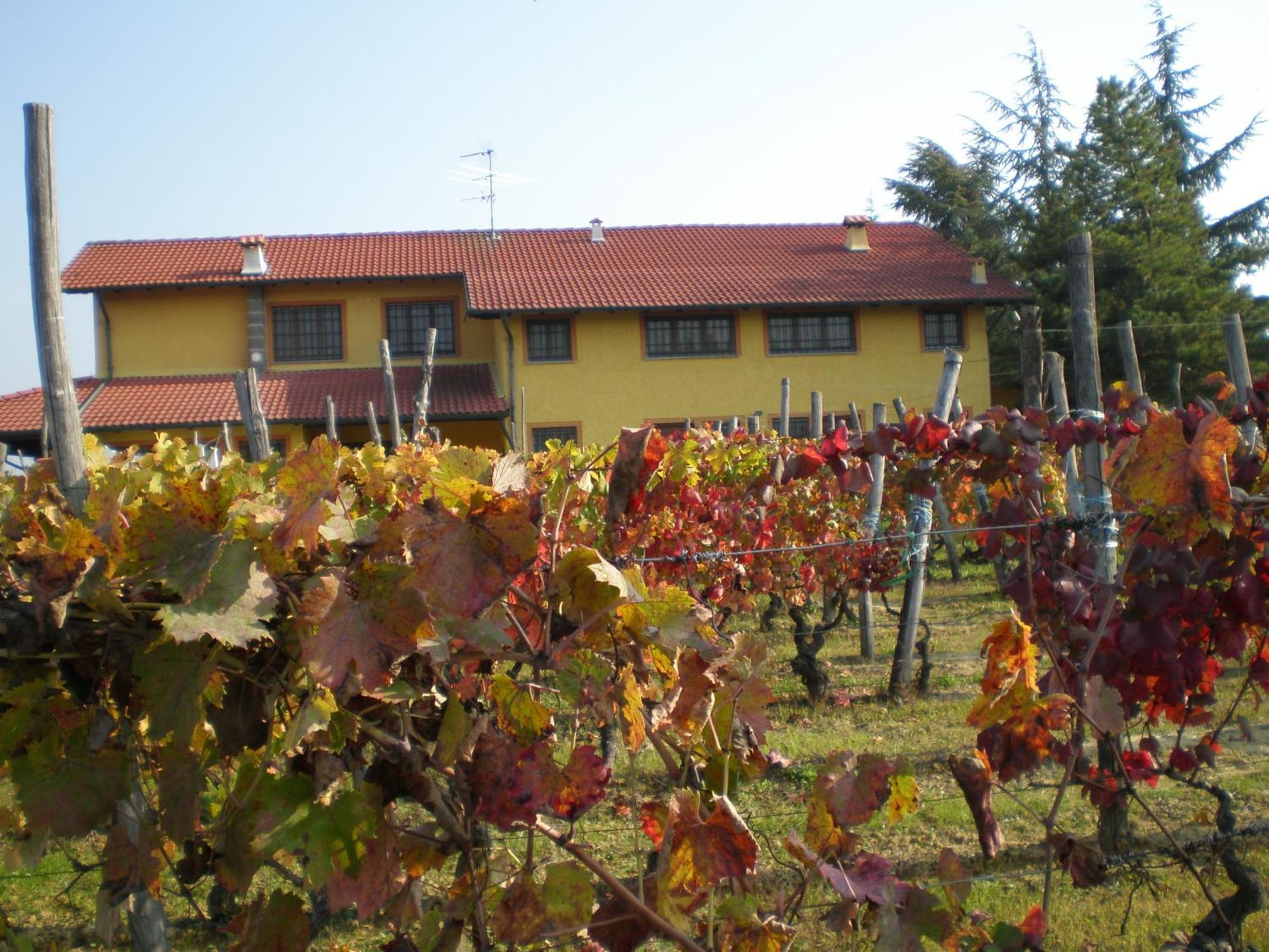 Cascina La Maddalena Bed & Wine Villa Rocca Grimalda Eksteriør billede