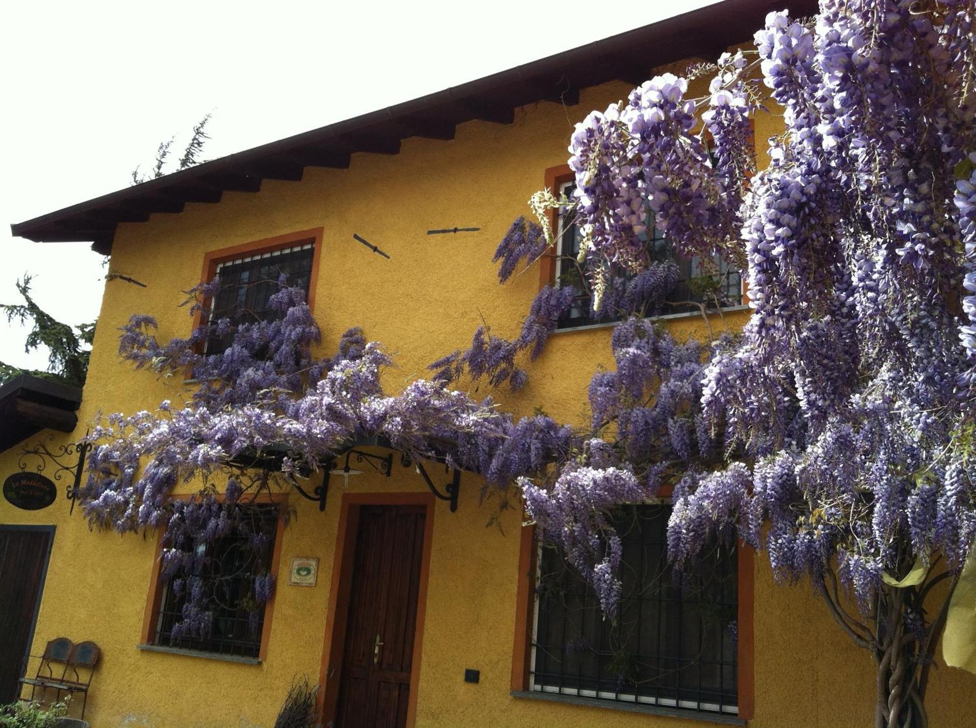 Cascina La Maddalena Bed & Wine Villa Rocca Grimalda Eksteriør billede