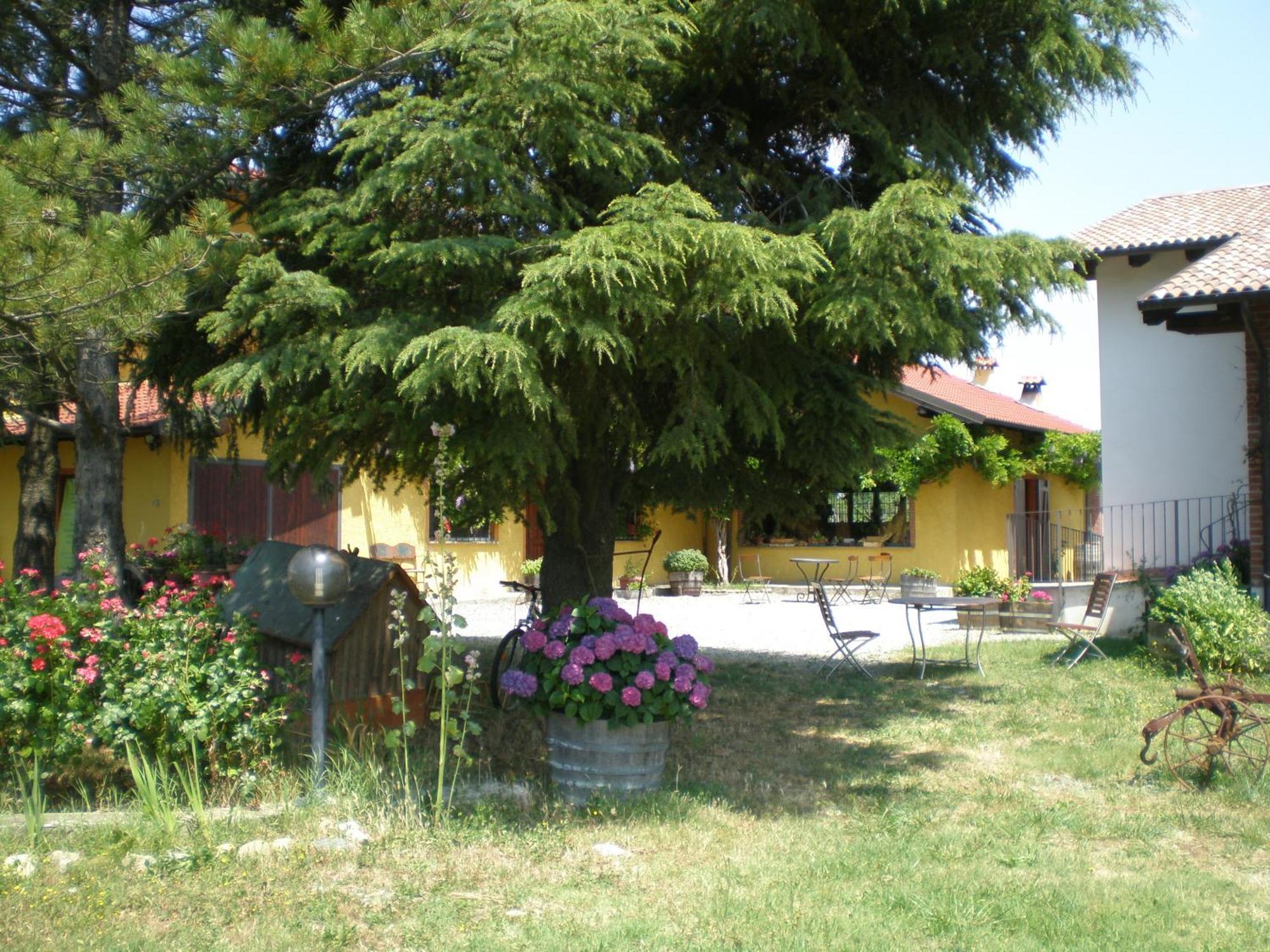 Cascina La Maddalena Bed & Wine Villa Rocca Grimalda Eksteriør billede