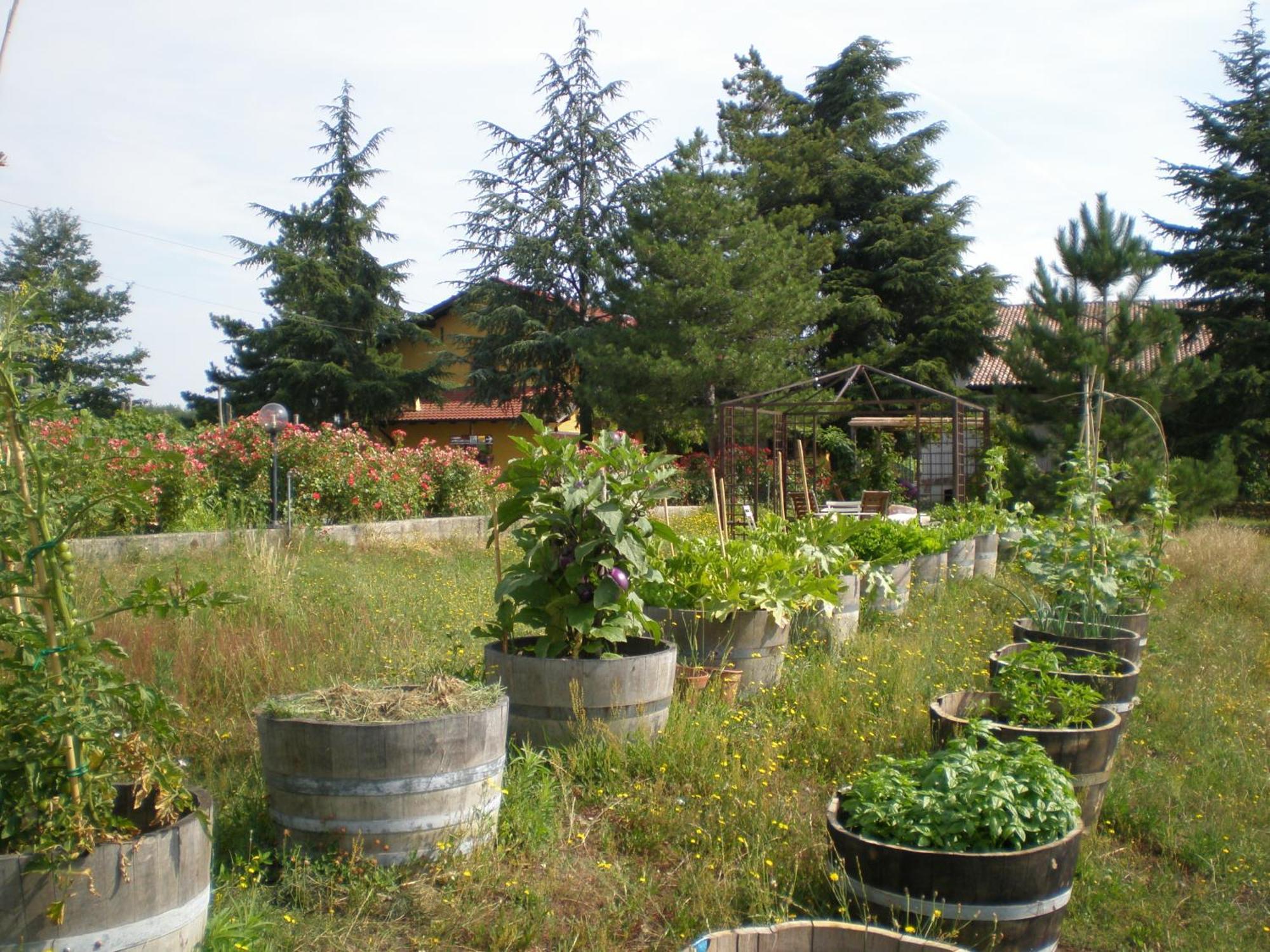 Cascina La Maddalena Bed & Wine Villa Rocca Grimalda Eksteriør billede