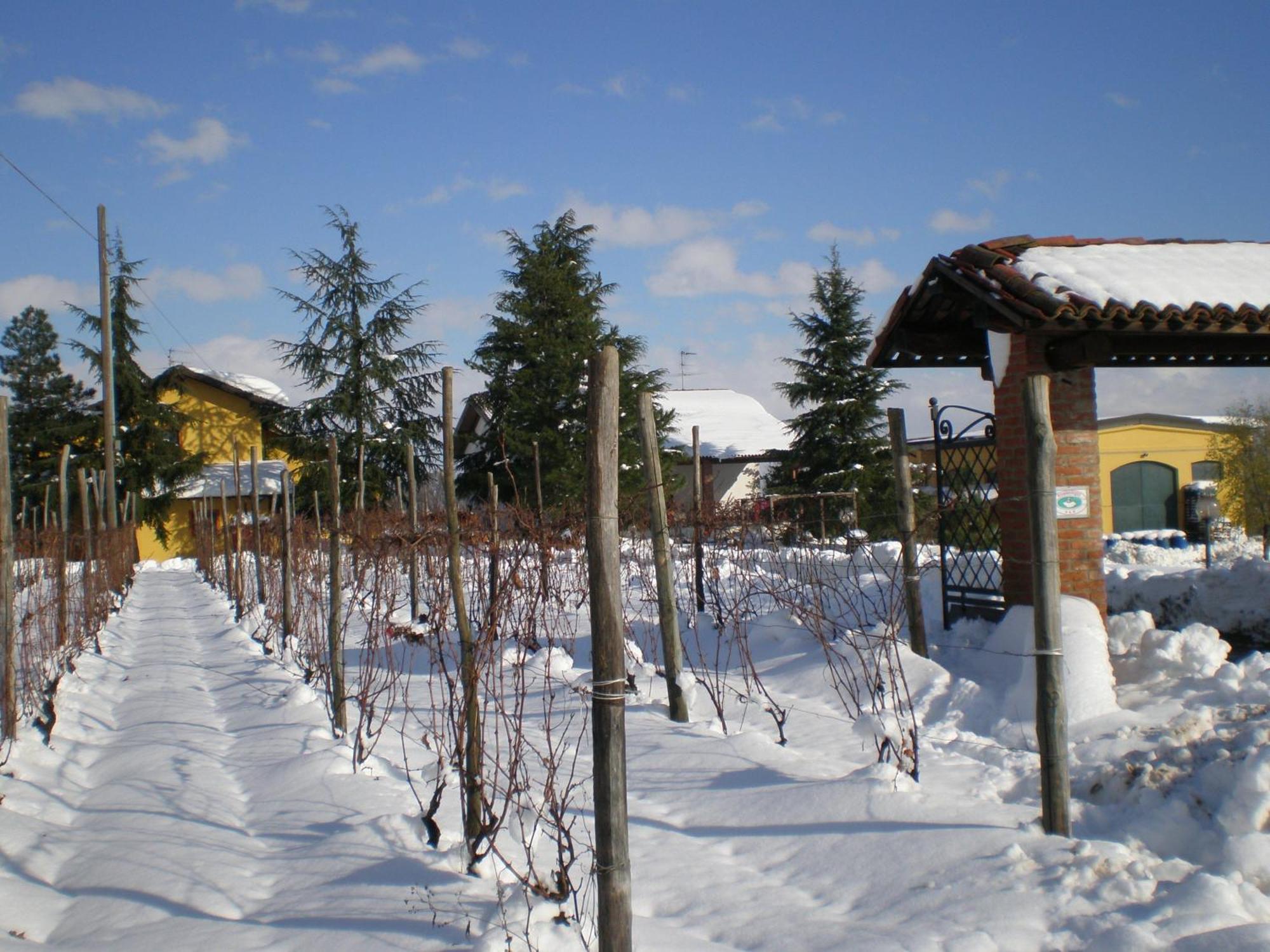 Cascina La Maddalena Bed & Wine Villa Rocca Grimalda Eksteriør billede